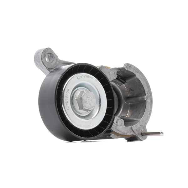 RIDEX PLUS 310T0055P Poulie, tendeur de courroie d'accessoire
