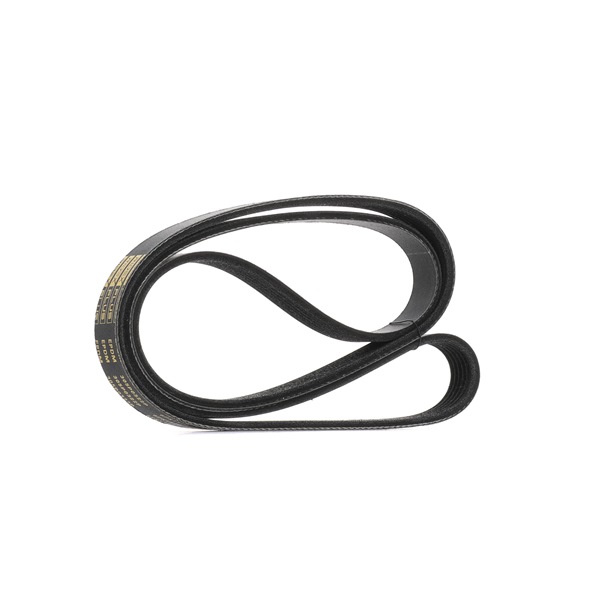 RIDEX PLUS 305P0322P Courroie de clim pour Ford C-Max DM2 1.8 TDCi 115 CV 2010 KKDA Diesel RIDEX PLUS 305P0322P Courroie d'alternateur Ford C-Max DM2 1.8 TDCi 115 CV Diesel 2010