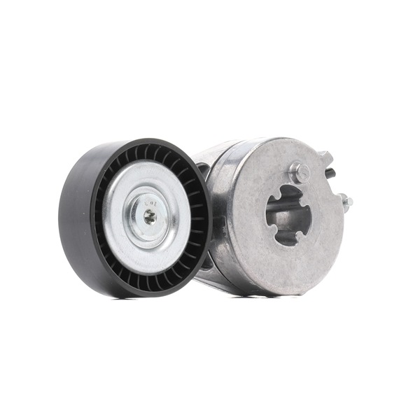 RIDEX PLUS 310T0310P Spännrulle, aggregatrem