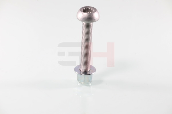 GH GH-399961 Tengelycsonk csavar