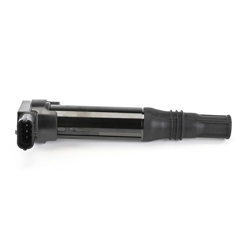 DELPHI GN11124-12B1 Zündspule