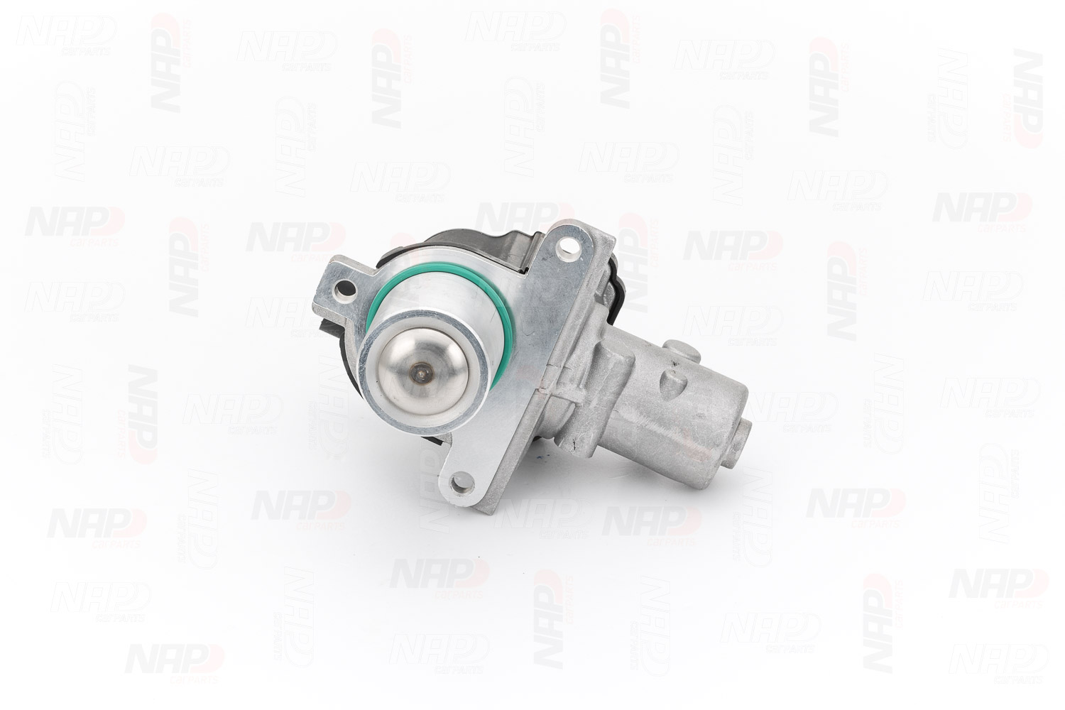 Válvula EGR CAV10060 NAP carparts 82 00 282 949 SEAT