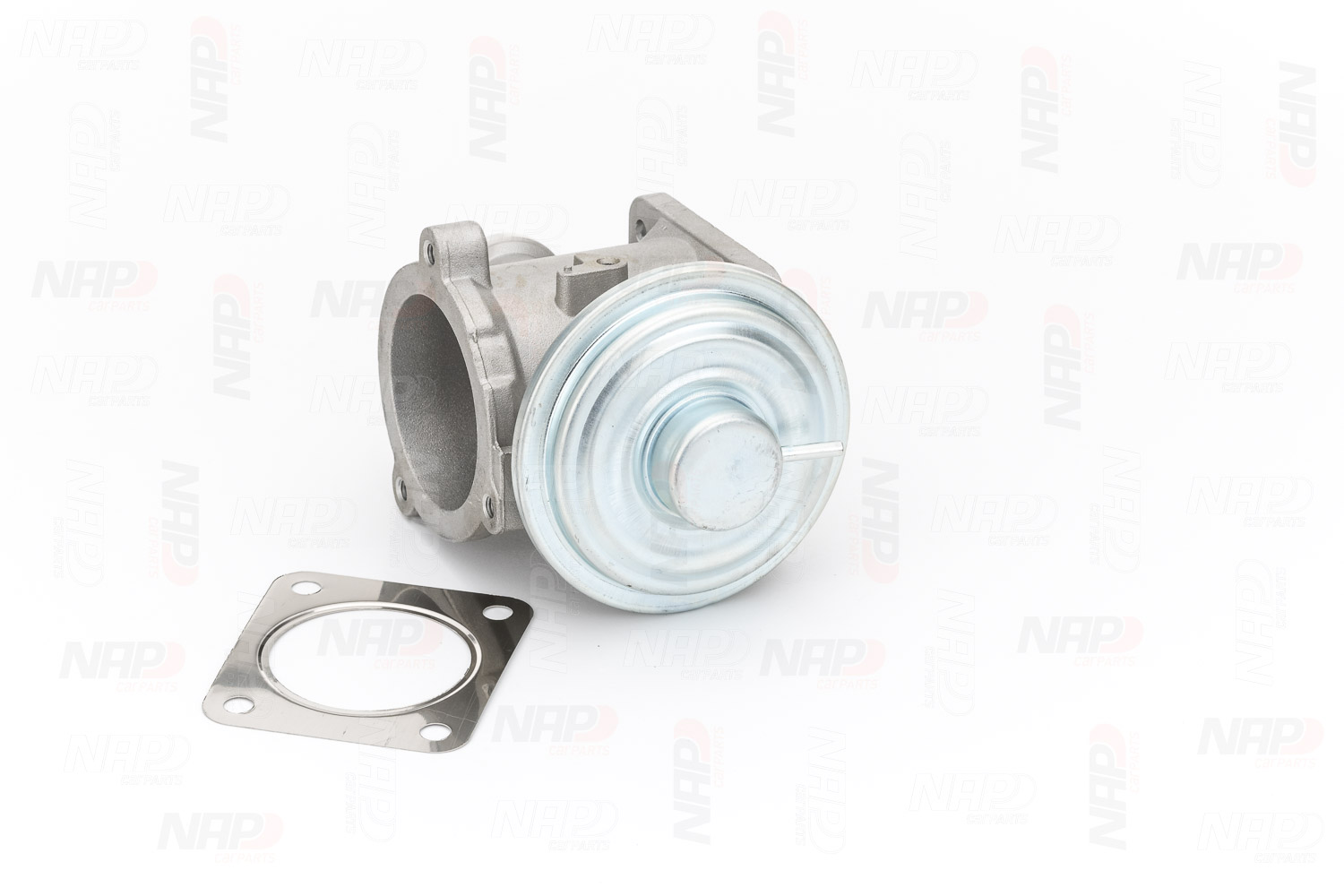 Válvula EGR CAV10134 NAP carparts 7804382 BMW