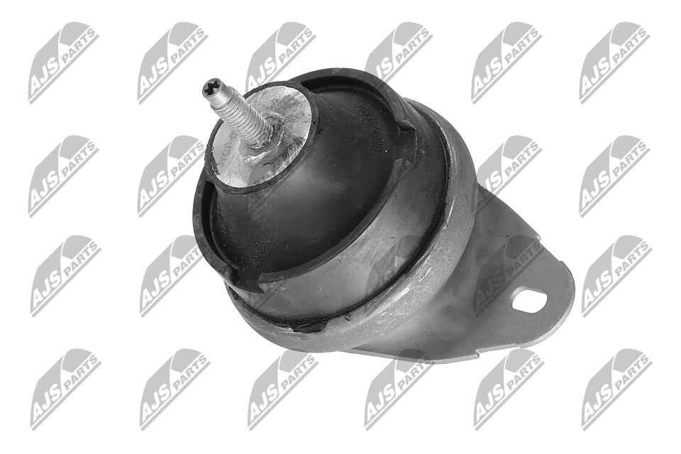 Motorlager ZPS-CT-030 NTY 184493 TOYOTA