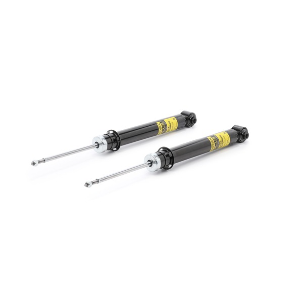 RIDEX PLUS 854S19313P Stötdämpare