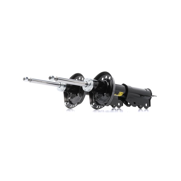 RIDEX PLUS Veerpoten 854S18462P