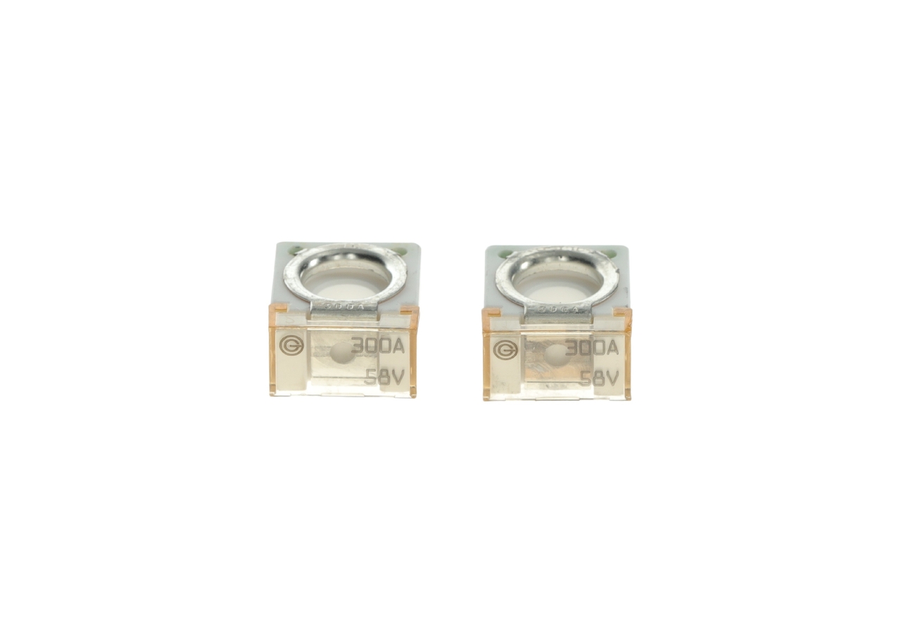 BOSCH CUBE fuse - 300A Fusible
