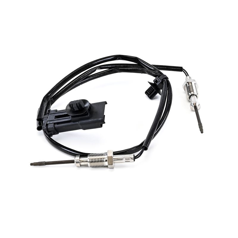 TS30347-12B1 DELPHI CITROËN ë-C4 X (C43) Temperatursensor Kosten