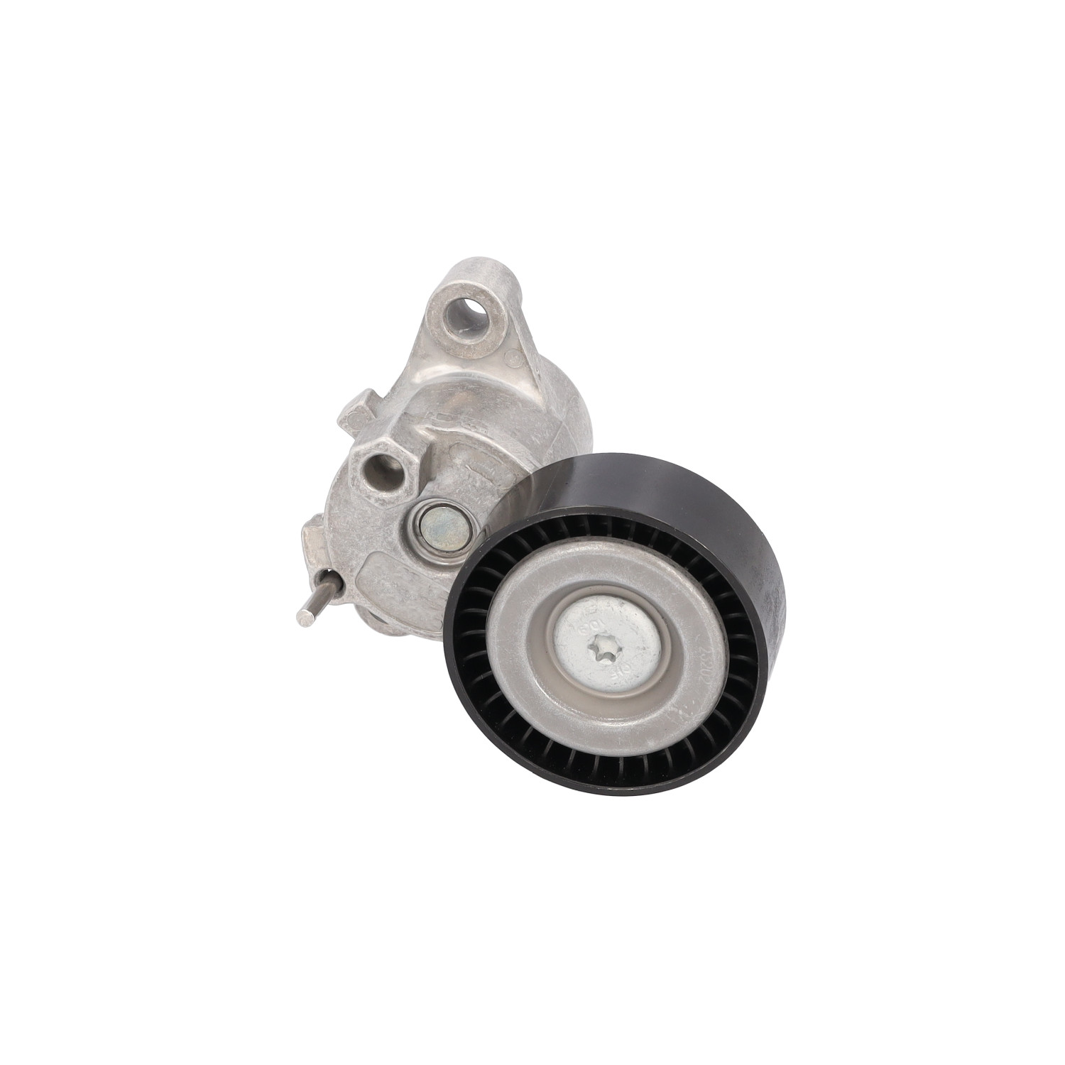 FEBI BILSTEIN 186379 Tensor de correa Ford Transit Connect MK2 precio