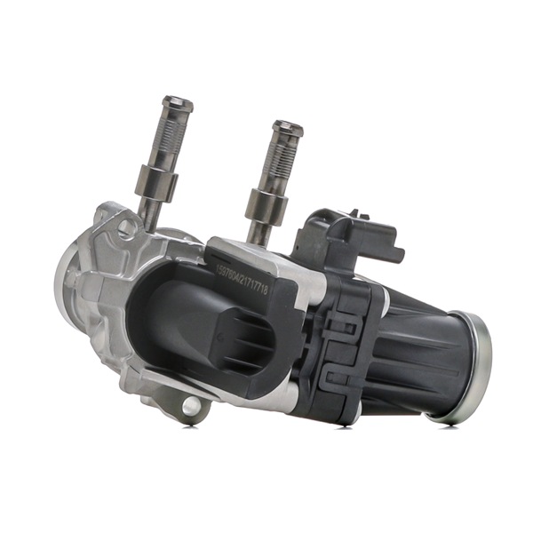 RIDEX 4198E0217 EGR-moodul