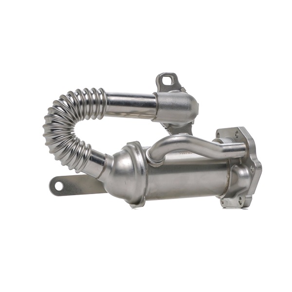 EGR-jahuti 4198E0218 RIDEX 7701063752 DACIA