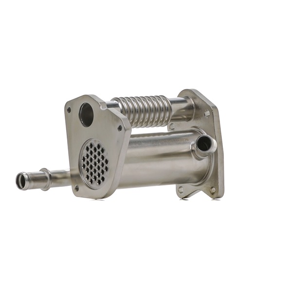 RIDEX 4198E0258 AGR-Modul