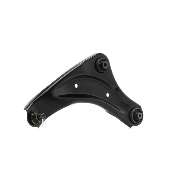 RIDEX PLUS 273C1022P Õõtshoob, käändmik