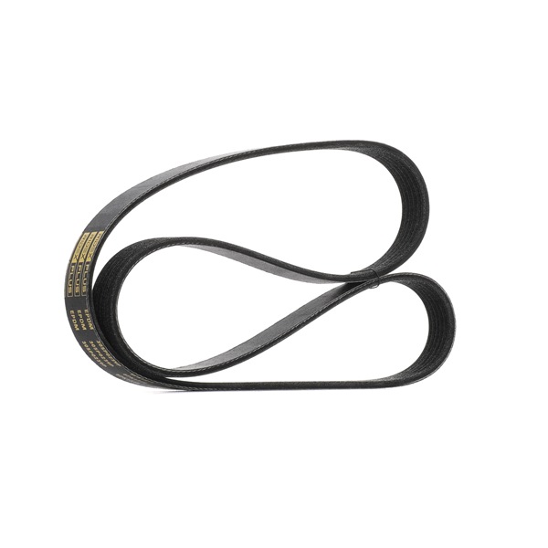 Multiriem 305P0239P RIDEX PLUS 1340 024 BMW