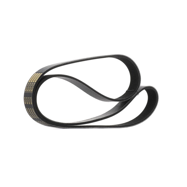 RIDEX PLUS 305P0155P Courroie trapézoïdale à nervures Mazda 6 GG 2.0 DI (GG14) 143 CV Diesel 2005