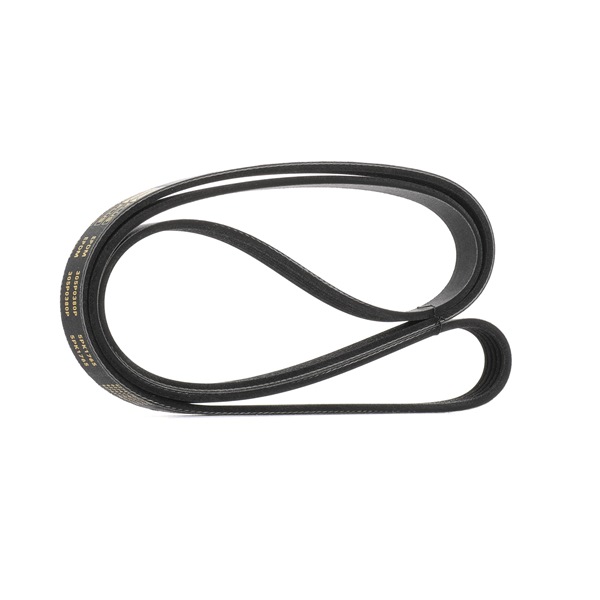 RIDEX PLUS 305P0380P Rillenriemen für Mercedes-Benz A-Klasse W169 A 200 2.0 Turbo (169.034, 169.334) 193 PS 2007 M 266.980 Otto RIDEX PLUS 305P0380P Rippenriemen Mercedes W169 A 200 2.0 Turbo (169.034, 169.334) 193 PS Benzin Kosten