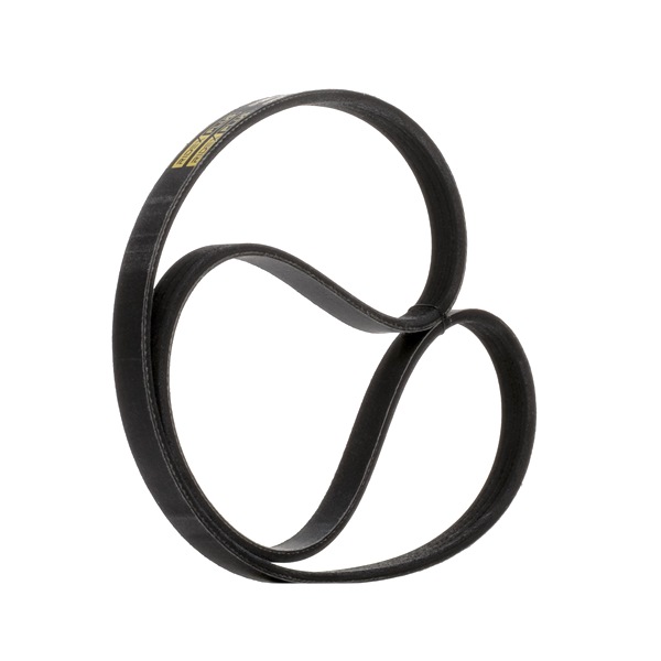 Multiriem 305P0606P RIDEX PLUS 58 0210 2076 Multiriem 305P0606P RIDEX PLUS 58 0210 2076 TOYOTA