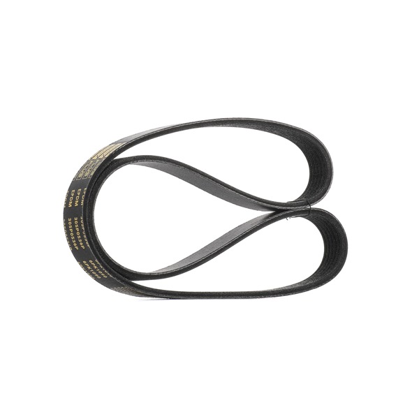 Multiriem 305P0536P RIDEX PLUS 6Q0903137A RENAULT
