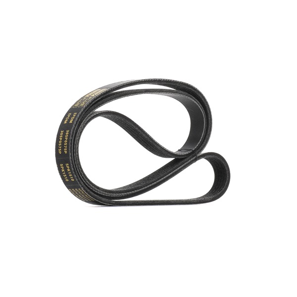 Courroie Poly-V 305P0575P RIDEX PLUS 002 993 11 96 RENAULT