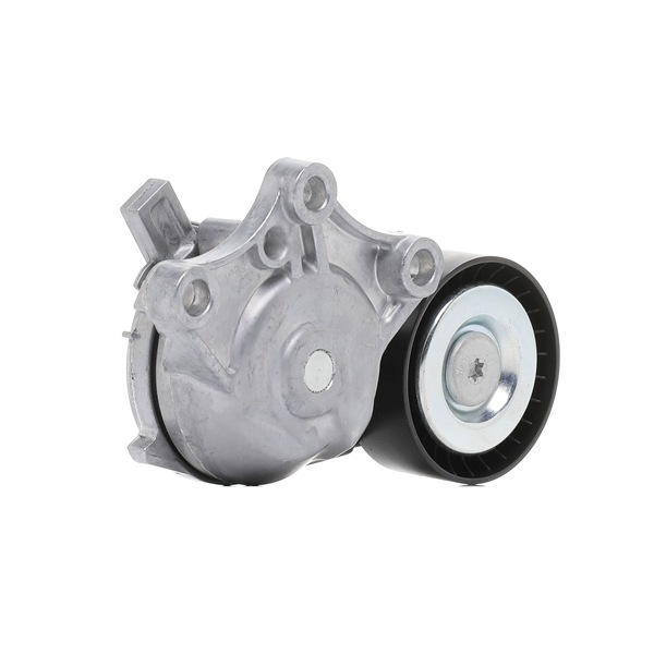 RIDEX PLUS 310T0067P Spännrulle, aggregatrem
