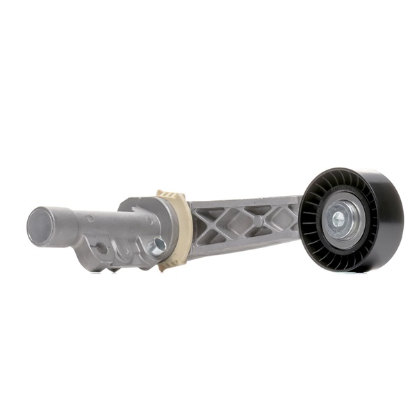 Polea tensora, correa poli V 310T0233P RIDEX PLUS 5751-E7 Volkswagen
