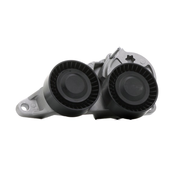 310T0054P Spannarm, Keilrippenriemen RIDEX PLUS 30757282 SEAT