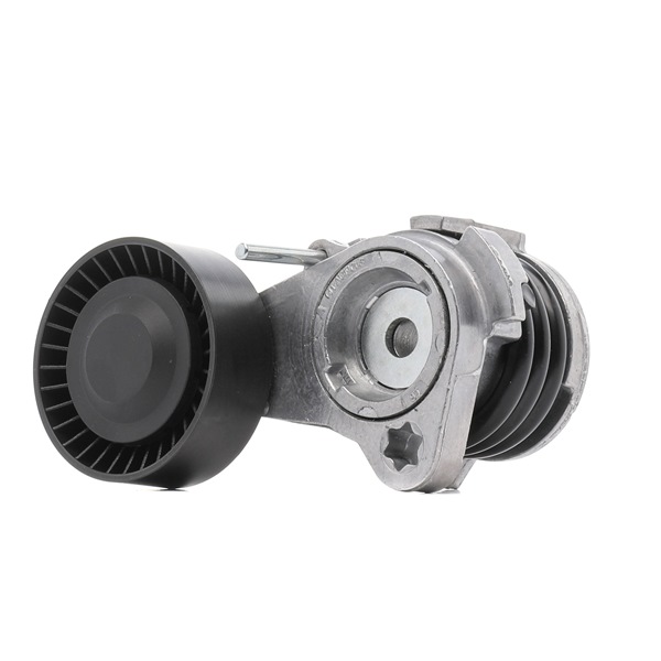 RIDEX PLUS Spanner poly v riem 541V0022P ervaringen