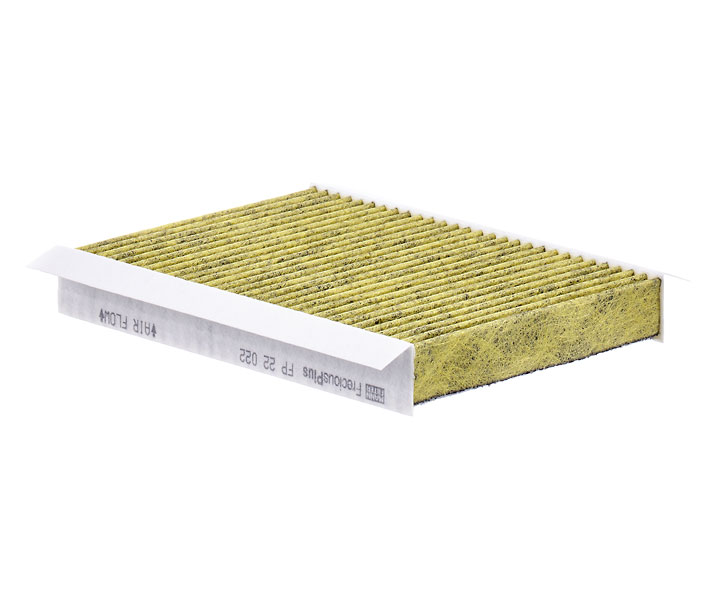 MANN-FILTER Cabinefilter JEEP FP 22 022