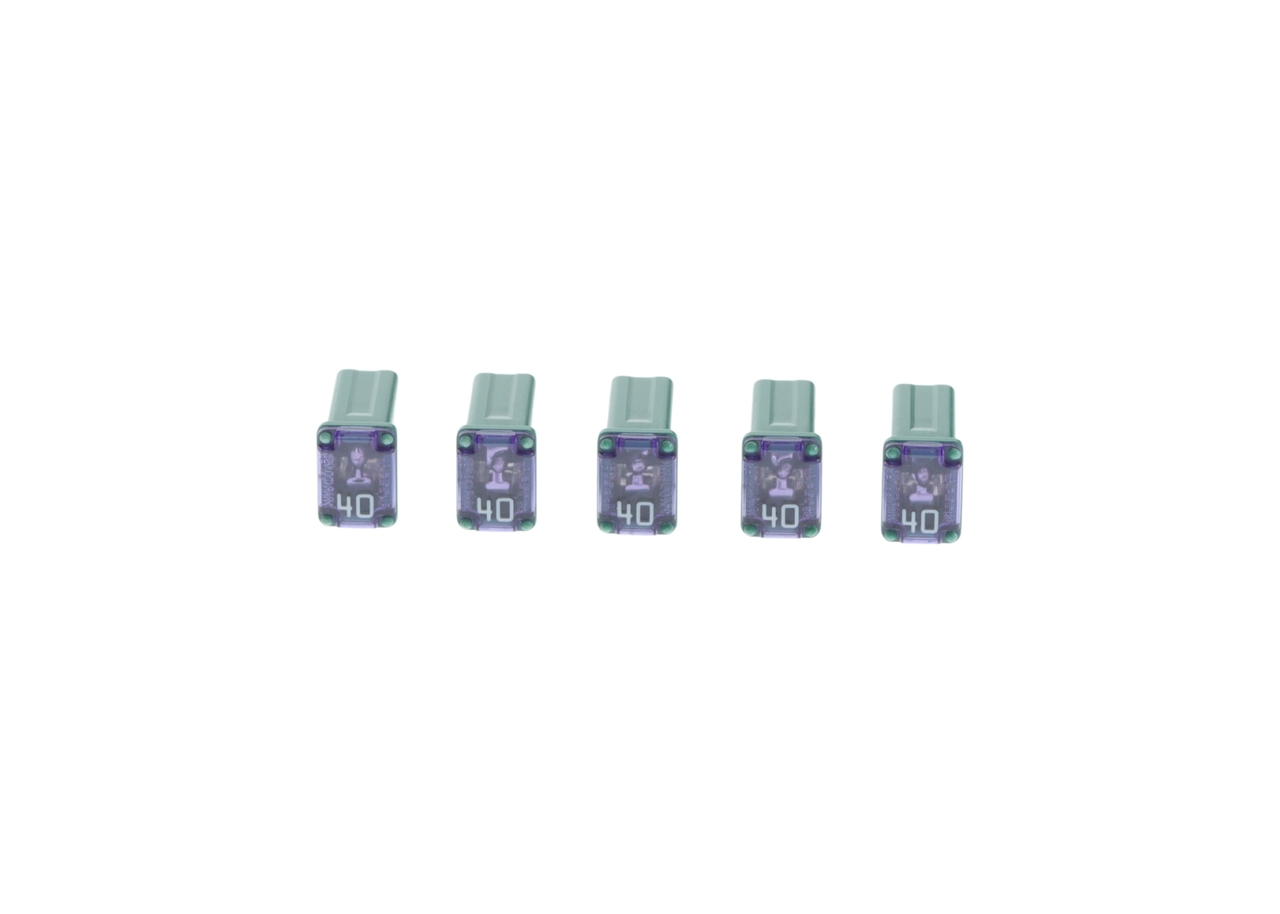 BOSCH Japanese slow blow fus Sicherung