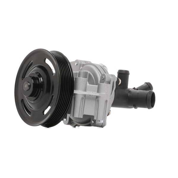 Veepump 538 0981 10 INA BK3Q-8A55-8CD FORD