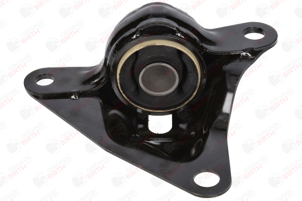 BIRTH 20161 Supporto braccio oscillante