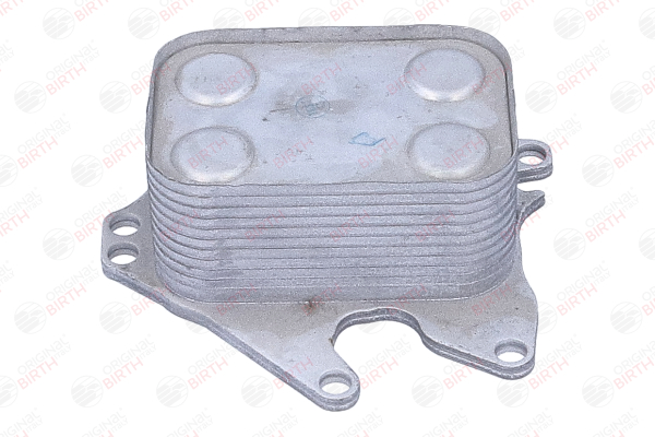 BIRTH Õliradiaator, mootoriõli 80829 80829 BIRTH Õlijahuti Ford USA odav