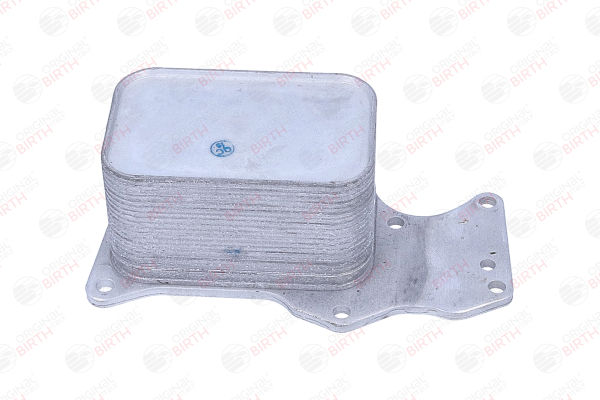 BIRTH Õliradiaator, mootoriõli 80835 80835 BIRTH Õlijahuti Ford USA odav