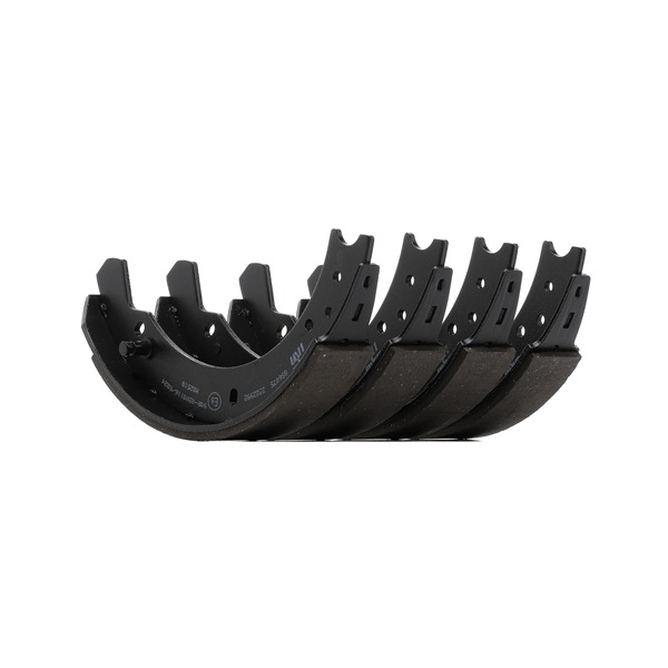 TRW GS6075 Brake Shoe Set