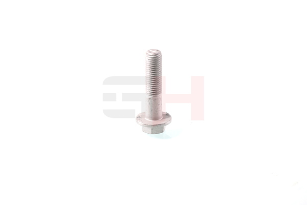 Kruvi, teljeots GH-391596 GH 31 10 6 768 934 Remondikomplekt, käändmik GH-391596 GH 31 10 6 768 934 BMW