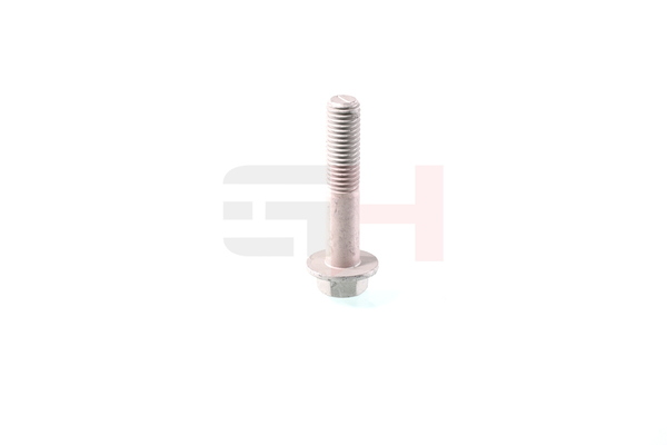 GH GH-393993 Skrue / bolt, akseltap