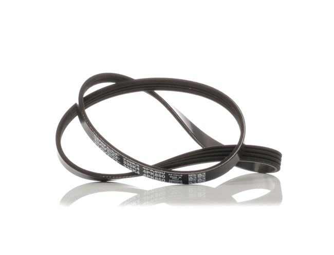 DAYCO 4x850 Multiriem