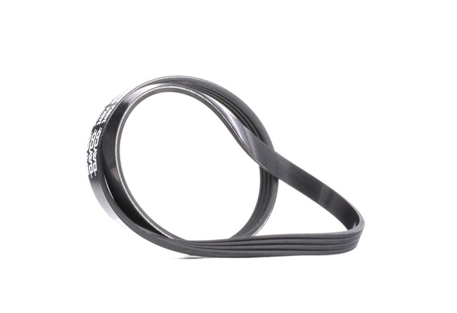 Multiriem 4PK884 DAYCO 1340 640 AUDI