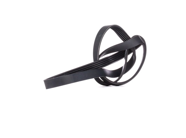 Courroie Poly-V 5PK1300 DAYCO MD 373622 Volkswagen