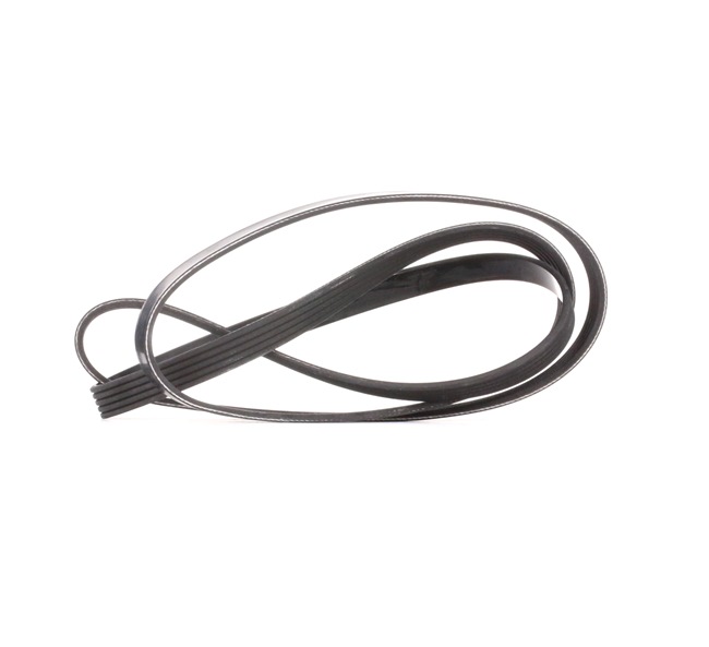 Correa trapecial poli V 5PK1800 DAYCO 252122A121 Volkswagen