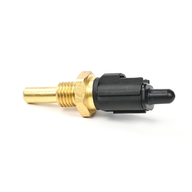 DELPHI TS10463 Kühlmitteltemperatursensor