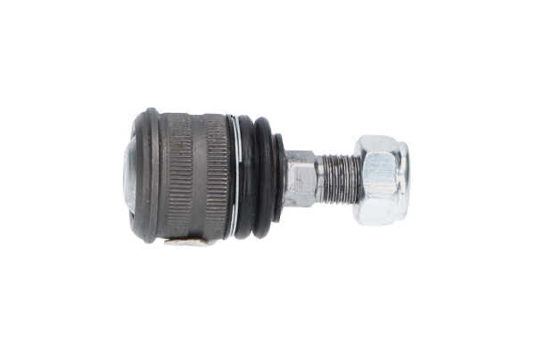KAVO PARTS SBJ-10062 Testina trapezio per Mercedes-Benz Classe E T-modell S211 E 320 T CDI 3.0 (211.222) (OM 642.920) 211 CV 2008 OM 642.920 Diesel SBJ-10062 KAVO PARTS testine braccio oscillante Mercedes S211 E 320 T CDI 3.0 (211.222) (OM 642.920) 211 CV Diesel prezzo