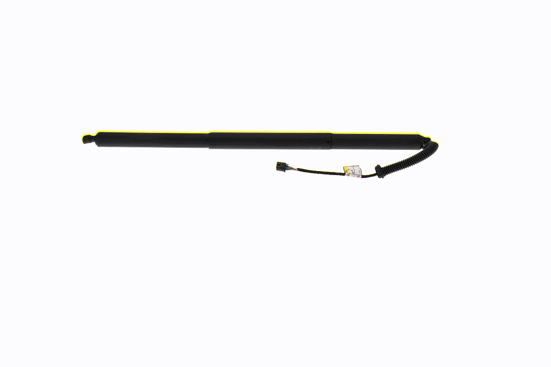 ACKOJA 1099665 Electrical motor, tailgate