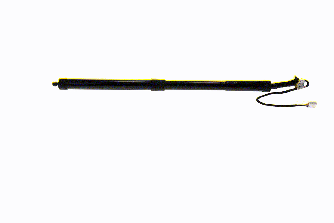 ACKOJA 1096069 Electrical motor, tailgate