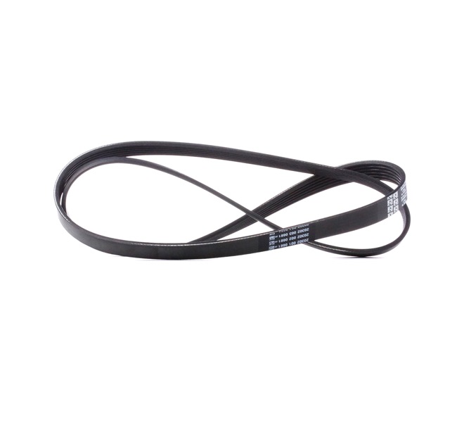 DAYCO 6x1437 Courroie Poly-V