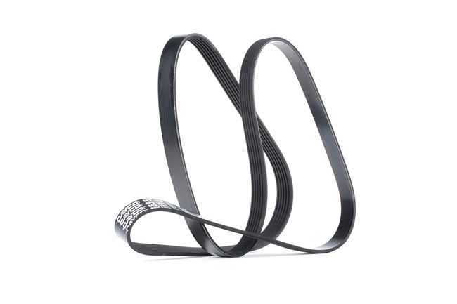DAYCO 6x1606 Ķīļrievu siksna