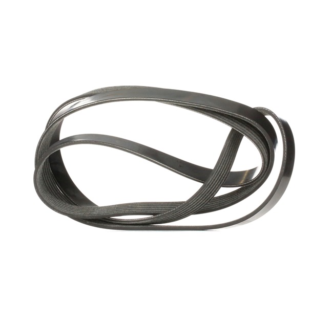 DAYCO 6x1815 Moniurahihna