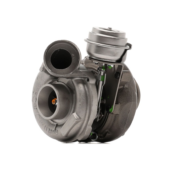 Turbocharger 2234C0253R RIDEX REMAN A612 096 05 99 Volkswagen