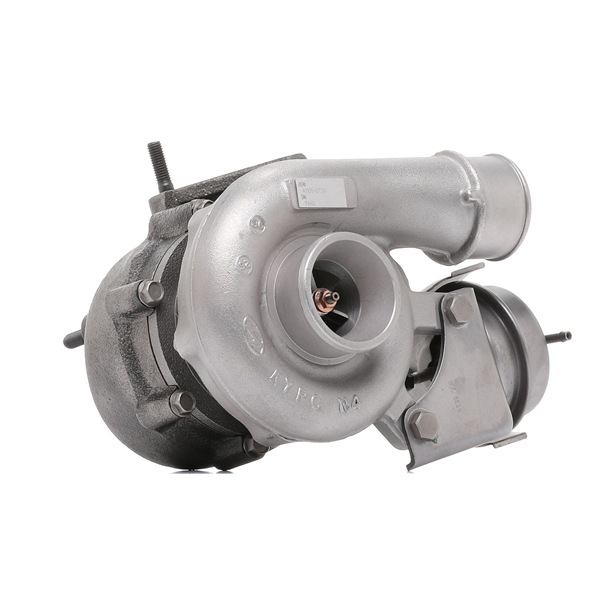 Szerelőkészlet, töltő 2234C0252R RIDEX REMAN 49135-07311 KIA