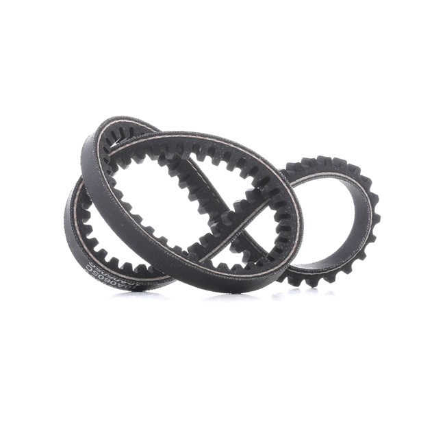 Courroie trapézoïdale 10A0605C DAYCO 5750SK Volkswagen